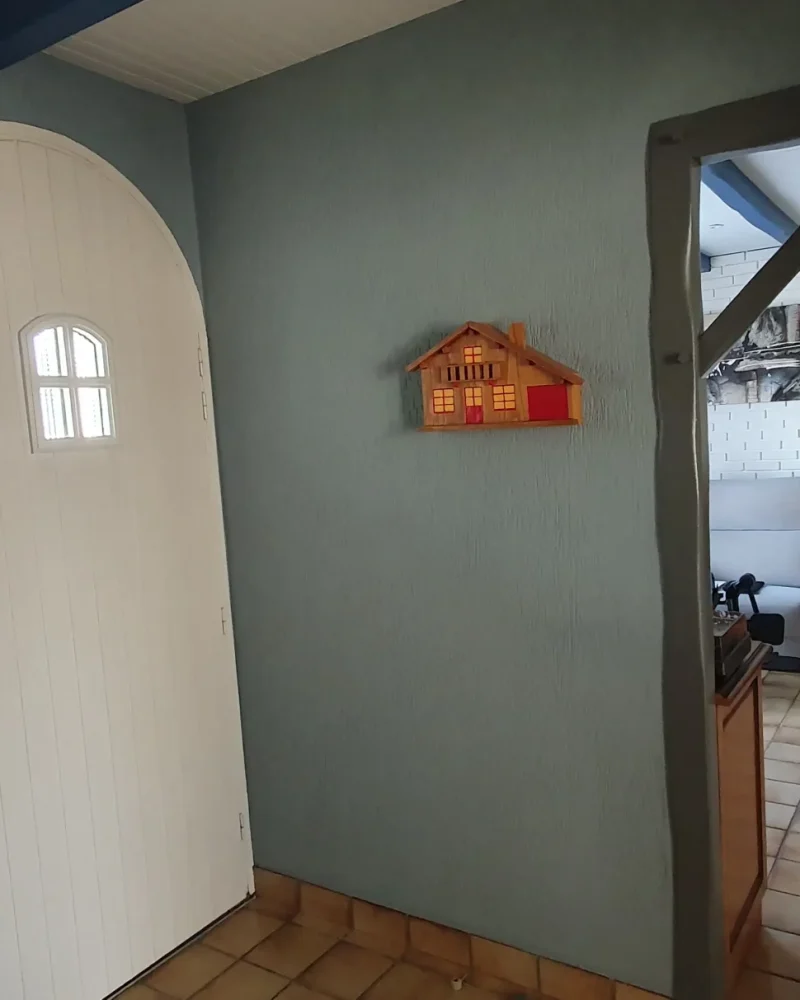 platre damien ripoche (2)